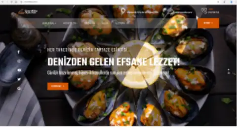 Screenshot of the Çınar Midye website