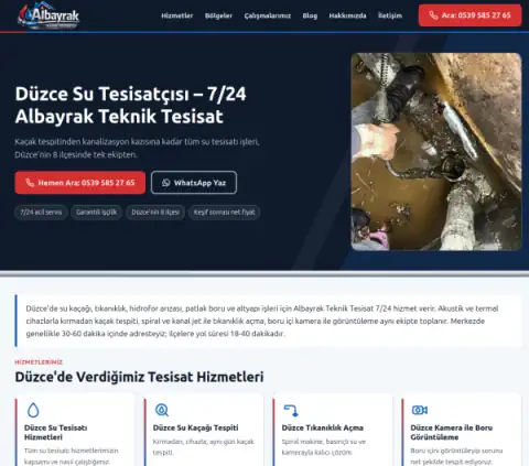 Screenshot of the Düzce Su Tesisat Uzmanı website