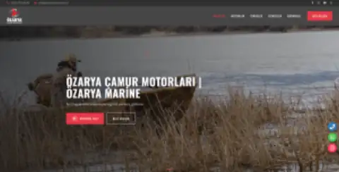 Screenshot of the Özarya Marine website