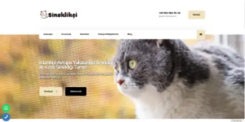 Screenshot of the Sineklikçi website